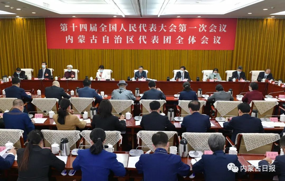 内蒙古代表团审议政府工作报告 孙绍骋主持并发言 王莉霞参加审议
